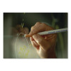 China Marker, White, Dozen