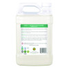 Parsley Plus All-Purpose Kitchen And Bathroom Cleaner, Herbal Scent, 1 Gal Bottle, 4/Carton