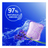 Cleaning Pacs, Lavender Scent, 10/Pack, 8 Packs/Carton