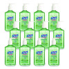 Advanced Hand Sanitizer Soothing Gel, 12 Oz Pump Bottle, Fresh Scent, 12/Carton