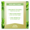 Zero Sugar Sweet Tea, 18.5 Oz Bottle,12/Carton