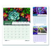 Recycled Succulent And Cacti Wall Calendar, 14 x 11, Multicolor Sheets, 12-Month (Jan-Dec): 2026