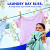 Laundry Sanitizer, Crisp Linen Scent, 21 Oz Bottle, 6/Carton