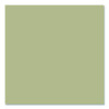 Camouflage Spray Paint, Flat Sand, 12 Oz Aerosol Can, 6/Carton