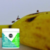 Stem Fruit Flies Trap, 5.4 Oz Jar, 8/Carton