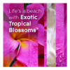 Air Freshener, Exotic Tropical Blossoms, 8.3 Oz Can, 2/Pack