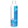 Glass Cleaner, 19 Oz Aerosol Spray, 12/Carton
