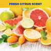 Spirit Ii Ready-To-Use Detergent Disinfectant, Citrus Scent, 55 Gal Drum