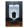Vertical Urinal Screen, Midnight Coast Scent, Black, 5.22 Oz, 6/Carton