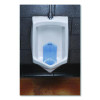 Vertical Urinal Screen, Cotton Blossom Scent, Blue, 5.22 Oz, 6/Carton