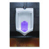 Vertical Urinal Screen, Lavender Scent, Purple, 5.22 Oz, 6/Carton