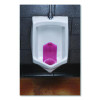 Vertical Urinal Screen, Spiced Apple Scent, Red, 5.22 Oz, 6/Carton