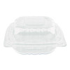Polypropylene Plastic Hinged Container, 6 x 6 x 3.3, Clear, Plastic, 50/Pack, 6 Packs/Carton