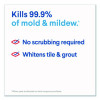Mold And Mildew Remover With Bleach, Unscented, 32 Oz Spray Bottle, 9/Carton