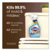 Mold And Mildew Remover With Bleach, Unscented, 32 Oz Spray Bottle, 9/Carton