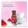 Dishwashing Liquid, Watermelon Scent, 20 Oz Bottle, 9/Carton