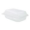 Polypropylene Plastic Hinged Container, 6 x 9 x 2.97, Clear, Plastic, 125/Pack, 2 Packs/Carton