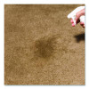 Professional Carpet Stain Remover Plus Deodorizer, Lemon Scent, 32 Oz Spray Bottle, 6/Carton
