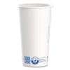 Recycled Content Pcf Paper Hot Cups, Proplanet Seal, 20 Oz, White/Blue, 600/Carton