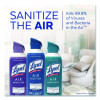 Air Sanitizer Spray, Light Breeze Scent, 10 Oz Aerosol Spray