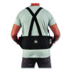 Proflex 1650 Economy Elastic Back Support Brace, Large, 34" To 38" Waist, Black