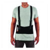 Proflex 1650 Economy Elastic Back Support Brace, 2X-Large, 42" To 46" Waist, Black