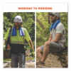 Chill-Its 6602 Evaporative Pva Cooling Towel, 29.5 x 13, One Size Fits Most, Pva, Hi-Vis Lime
