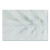 Spiral Bowl Brush, 13" Handle, White