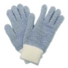 Dusting Set, Feather Duster, Dusting Wand, 2 Gloves, Gray