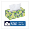 Trusted Care Facial Tissue, 2-Ply, White, 160 Sheets/Box, 3 Boxes/Pack, 12 Packs/Carton