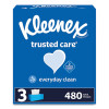 Trusted Care Facial Tissue, 2-Ply, White, 160 Sheets/Box, 3 Boxes/Pack, 12 Packs/Carton