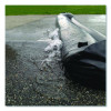 Water Curbs, 6.5" x 20 Ft x 6.5"