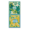 Soothing Lotion Facial Tissue, 3-Ply, White, 60 Sheets/Box, 4 Boxes/Pack, 8 Packs/Carton