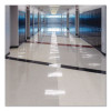 Betcobest Lm Floor Finish With Srt, 5 Gal Bag In Box