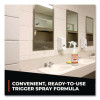 Pro Odor Control Ready-To-Use, Herbal, 32 Oz Spray Bottle, 12/Carton