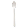 Specialty Cutlery, Soda Spoon, Plastic, White, 1,000/Carton