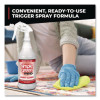 Pro Carpet Cleaner Ready-To-Use, 32 Oz Spray Bottle, 12/Carton