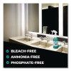 Pro Bathroom Cleaner Ready-To-Use, 32 Oz Spray Bottle, 12/Carton