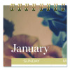 Midnight Garden Monthly Wall Calendar, 15 x 12, Floral Artwork, 12-Month (Jan-Dec): 2026
