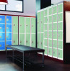 Steel Storage Locker, 6 Compartment, 12 x 12 x 72, Misty Green