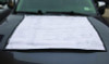 Large Document Protection Blueprint Plan Holder, Holds Arch D (24" x 36"), Clear