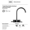 Evolution Splash Mount Stainless Steel Faucet, 9.06" Height/4.5" Reach, Stainless Steel