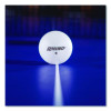 Table Tennis Balls, Official Size, White, 144/Carton