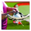 Lacrosse Pop Up Target Trainer, 4 Ft x 4 Ft