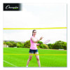Rhino Port-A-Net Set, 36" To 60" x 240"