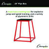 Plyo Box, 24" h, 21 x 21 Base