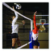 Tournament Power Volleyball Net, 32 Ft x 3 Ft