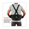 Proflex 1600 Standard Elastic Back Support Brace, 4X-Large, 52" To 58" Waist, Black