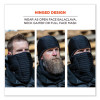 N-Ferno 6955 Insulated 3-Layer Balaclava Face Mask, Polartec Fr Power Grid Fleece/Polyester/Spandex, One Size, Black