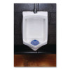 Urinal Screen, Tutti Frutti Scent, Blue, 1.8 Oz, Dozen